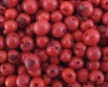 Açaí vermelho - Pacote com 1.000 sementes